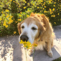 Semi-Retired Employee Stacey Allison's profile photo