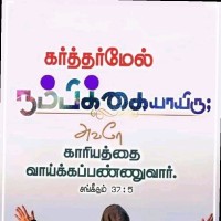 Muthu Muthukumar Email