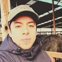 Nicolas A. Email