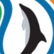 Dolphin Group Employee Jyoti Gupta's profile photo