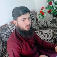 FeedUs Employee Syed Shah's profile photo