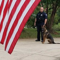 Frank Sanchez Email & Phone Number