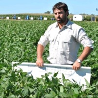 Gestion Agropecuaria Email