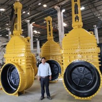 STEELSTRONG VALVES (I) PVT LTD Employee Debasis Pattnaik's profile photo