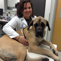 Pine Woods Animal Hospital PC Employee Amanda Schepis's profile photo