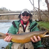 Print Media Employee Tov Rezabek's profile photo