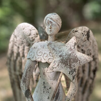 Attraction Design Employee Lyu Pin's profile photo