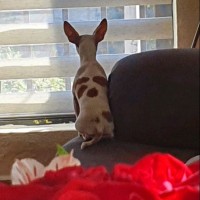 Instituto Quetzalcóatl Employee Melanie Avilés's profile photo