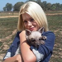 AVN Employee Shane Steele's profile photo