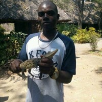 Enviroo_Making environment profitable Employee Daniel Magombedze's profile photo