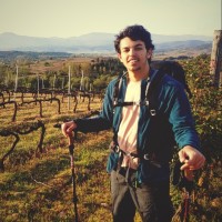 Ofek Weiss's profile photo