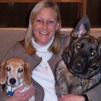 Stacy Sheldon-Wilkinson Email & Phone Number