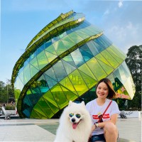 BAN MAI CO., LTD Employee Bich Vu's profile photo