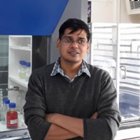 Indian Institute of Technology, Kanpur Employee Samar Pal's profile photo