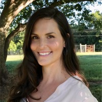 Sustainable Forestry Initiative Employee Amy Tauzin's profile photo