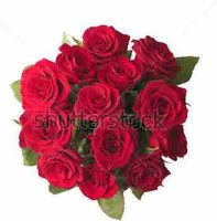 Awais Abid's profile photo