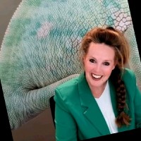 Quattri Consultants Employee Ivonne van Mameren's profile photo