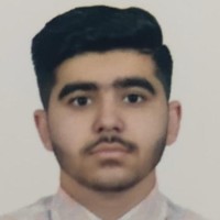 DocIndia Employee Bhomik Sandooja's profile photo