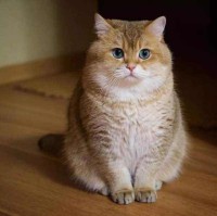 陈西西 Email