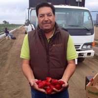 Reiter Affiliated Companies Employee Pedro Casillas's profile photo