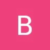 Bright Vize Email