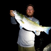 Eric Shaver Email & Phone Number