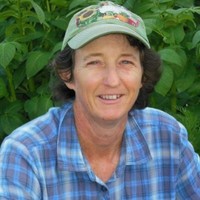 Lynn Gillespie Email & Phone Number