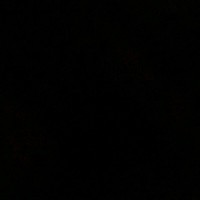 Tyree Morgan Email & Phone Number