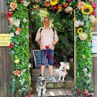 Tom Willcocks Email