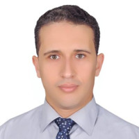 Ahmed Abdelwaly Email & Phone Number