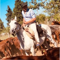 Frigorifico Rioplatense S.A.I.C.I.F Employee Juan Demarziani's profile photo