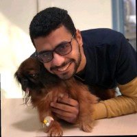 British Animal Hospital Egypt Employee Samuel Michel's profile photo