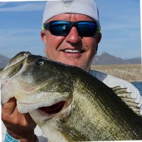 Brad Wisdom Email & Phone Number