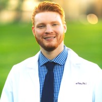 Anthony Palm Email & Phone Number