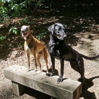 Severn Edge Veterinary Group Employee Marina Alford's profile photo