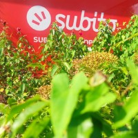 Alessandro Lulli Email