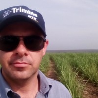 COPLACANA - Orgulho do Agro Employee Gabriel Camarinha's profile photo