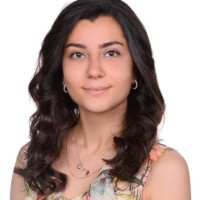 udea electronics Employee Yaren Yapici's profile photo