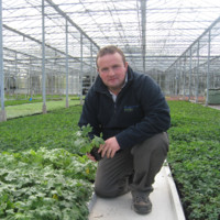 The Bransford Webbs Plant Company Employee Karl O'Neill's profile photo