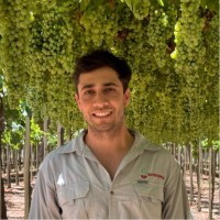 Nutriterra S.A. Employee David Radicetti's profile photo