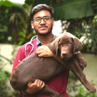 Punith G Email
