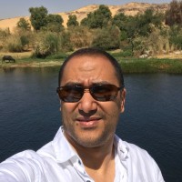 Ali Sherif Email
