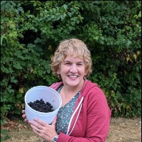Debbie Whitehead Email