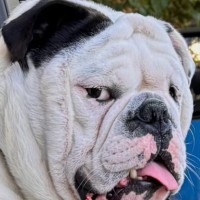Stan Warren Email