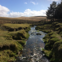 Probation Services Employee Clare Martindale's profile photo