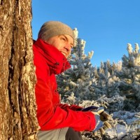Bolagsverket Employee Tomas Sprock's profile photo