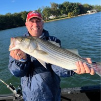 Michael Jackson Email & Phone Number