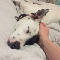 Lucy Blackledge Email