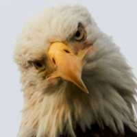 Creative Systems and Consulting Employee John Gambriel's profile photo