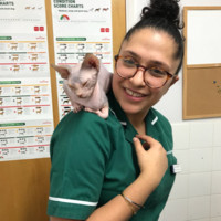 Jenna Joshi Email & Phone Number